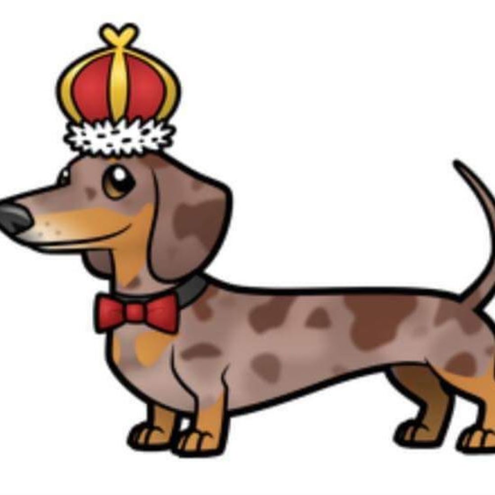 Meet your Posher, Patti